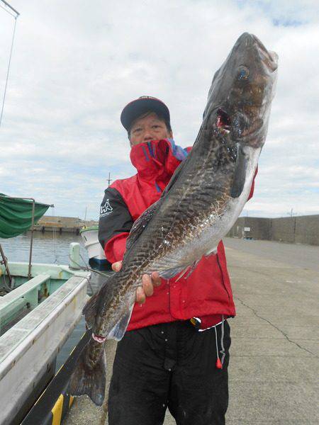 こうゆう丸 釣果