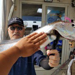 遊漁船　ニライカナイ 釣果