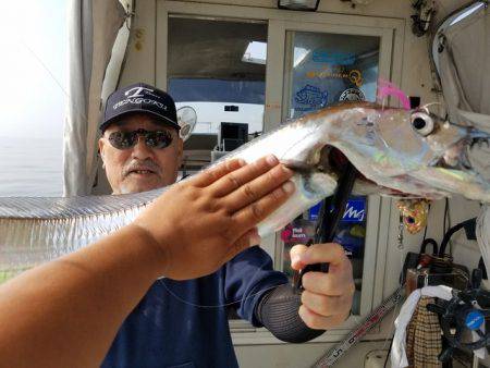 遊漁船　ニライカナイ 釣果