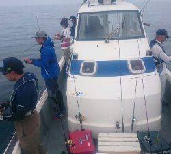 IDATEN（イダテン） 釣果