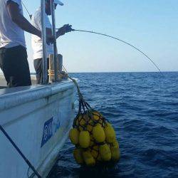 第五慶門丸 釣果