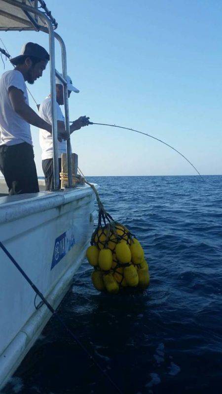 第五慶門丸 釣果