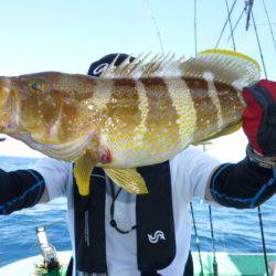真祐丸 (しんゆうまる) 釣果