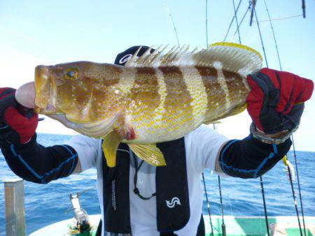 真祐丸 (しんゆうまる) 釣果