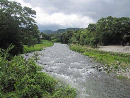 狩野川(狩野川漁業協同組合) 釣果