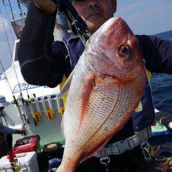 遊漁船 新鋭丸 釣果