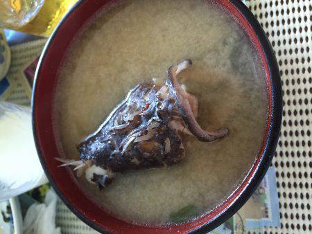 ロックフィッシュ