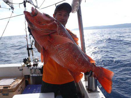 オーシャンパイオニア 釣果