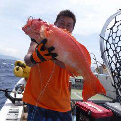 オーシャンパイオニア 釣果