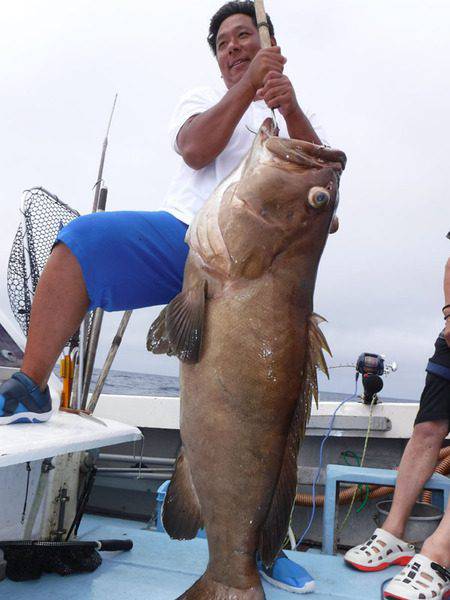 オーシャンパイオニア 釣果