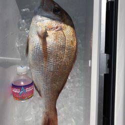 遊漁船高橋 釣果