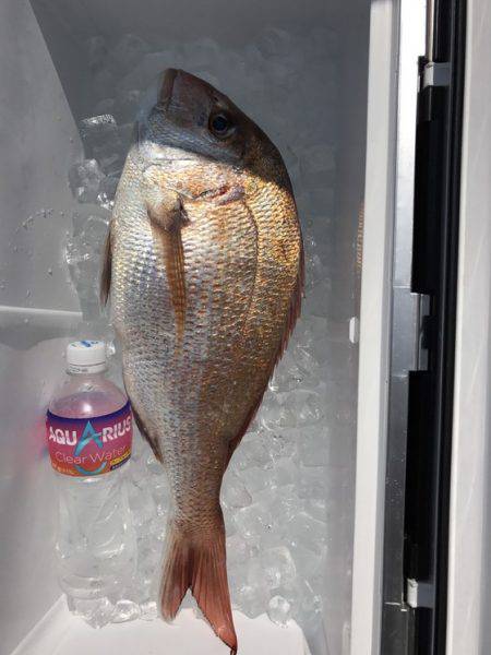 遊漁船高橋 釣果