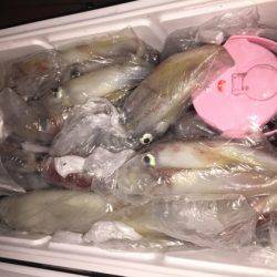 幸風（さちかぜ） 釣果