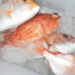 こうゆう丸 釣果