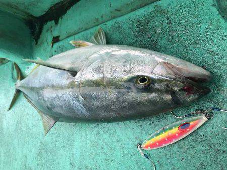 広進丸 釣果