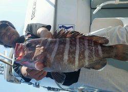 ディープ オーシャン 釣果