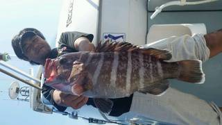 ディープ オーシャン 釣果