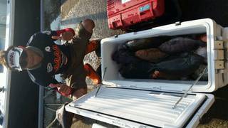 ディープ オーシャン 釣果