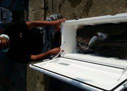 ディープ オーシャン 釣果