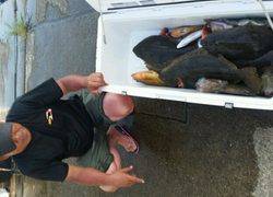 ディープ オーシャン 釣果