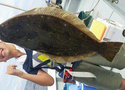 ディープ オーシャン 釣果