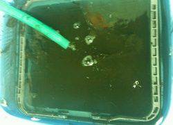 ディープ オーシャン 釣果