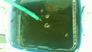 ディープ オーシャン 釣果