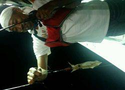 ディープ オーシャン 釣果