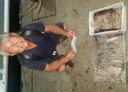 ディープ オーシャン 釣果