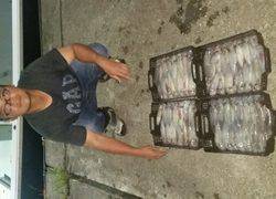 ディープ オーシャン 釣果