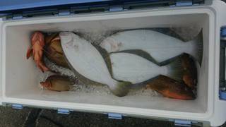 ディープ オーシャン 釣果