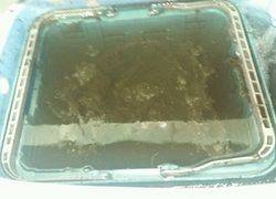 ディープ オーシャン 釣果