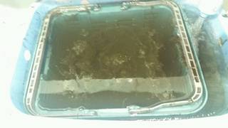 ディープ オーシャン 釣果