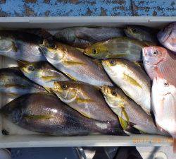 石川丸 釣果