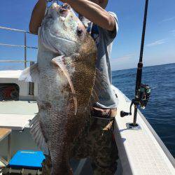 ふじしめ丸 釣果