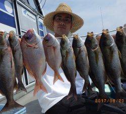 石川丸 釣果