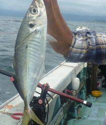 松福丸 釣果