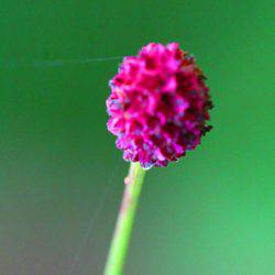 小菅トラウトガーデン 釣果