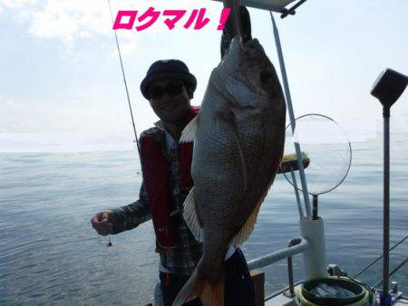 遊漁船 幸友丸 釣果