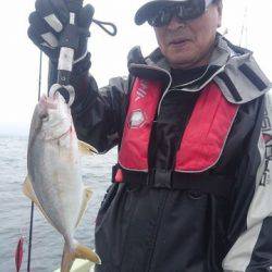 気仙沼 つり丸 釣果