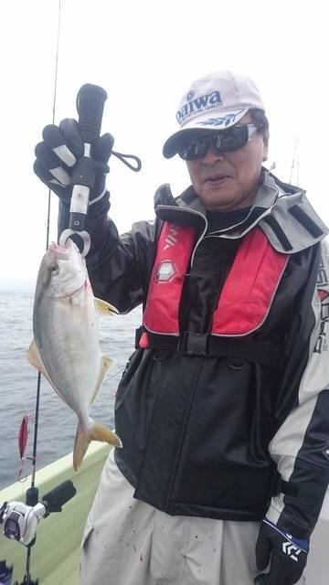 気仙沼　つり丸 釣果