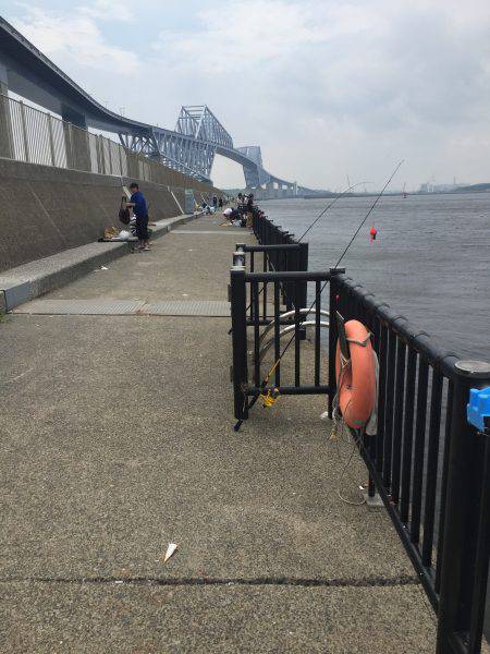 サッパ カタクチイワシ