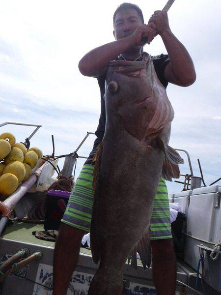 オーシャンパイオニア 釣果