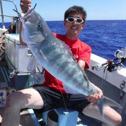 オーシャンパイオニア 釣果
