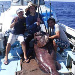 オーシャンパイオニア 釣果