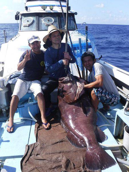オーシャンパイオニア 釣果