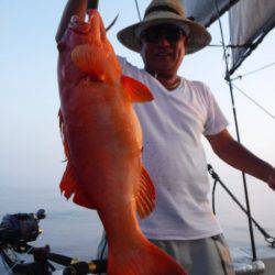 オーシャンパイオニア 釣果