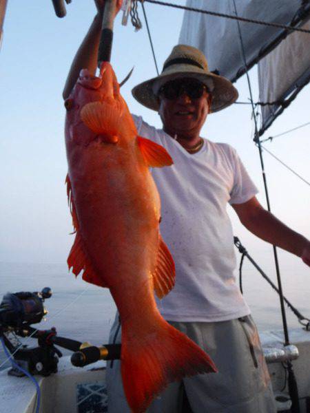 オーシャンパイオニア 釣果