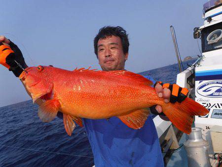 オーシャンパイオニア 釣果