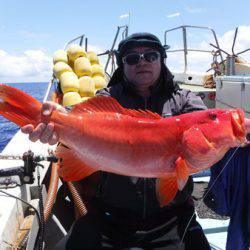 オーシャンパイオニア 釣果